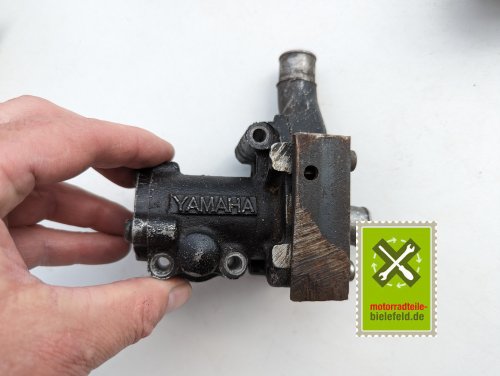 PXL_20240528_140808868